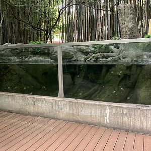 Children’s Zoo - Turtle Tank