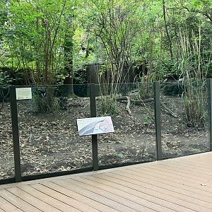 Children’s Zoo - Giant Anteater Exhibit