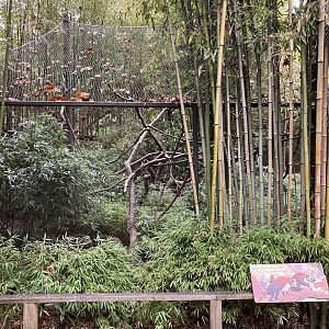 Children’s Zoo - White-Nosed Coati Exhibit