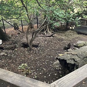 Children’s Zoo - Domestic Rabbit Exhibit