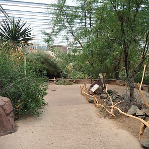 Desert - View of walkways and landscaping upon entry from the Rimba area, 2023-10-07