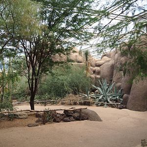 Desert - View of walkways and landscaping, 2023-10-07