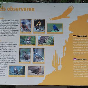 Free-ranging bird species in the Desert signage, 2023-10-07