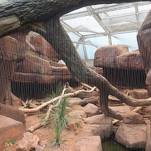 Desert - Bobcat canyon, 2023-10-07