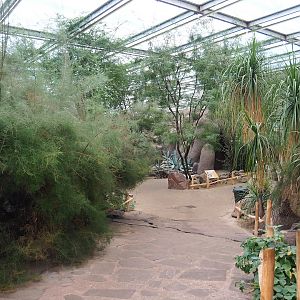 Desert - Walkways and landscaping, 2023-10-07