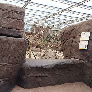 Collared peccary, North American porcupine and Black-tailed prairie dog exhibit viewing area, 2023-10-07