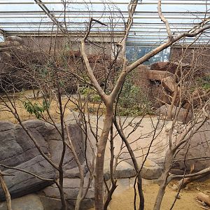 Collared peccary, North American porcupine and Black-tailed prairie dog exhibit, 2023-10-07