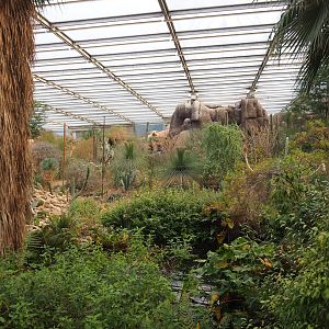 Desert - Oasis area, 2023-10-07