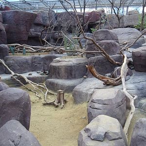 Collared peccary, North American porcupine and Black-tailed prairie dog exhibit, 2023-10-07