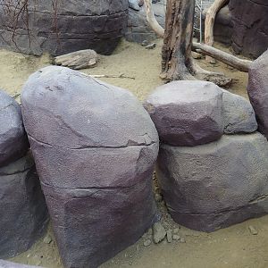 Collared peccary, North American porcupine and Black-tailed prairie dog exhibit - Rock crevices separating areas for praire dogs, 2023-10-07