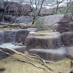 Collared peccary, North American porcupine and Black-tailed prairie dog exhibit, 2023-10-07