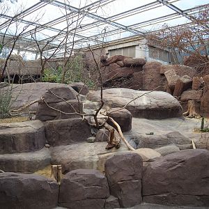 Collared peccary, North American porcupine and Black-tailed prairie dog exhibit, 2023-10-07