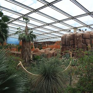 Desert landscape with large vulture rock and parts of restaurant area, 2023-10-07