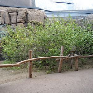 Canyon aviary viewing area, 2023-10-07