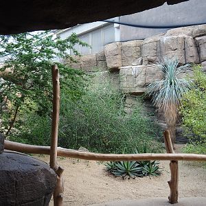 Canyon aviary, 2023-10-07