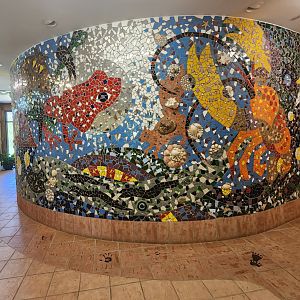 Croydon Creek Nature Center (MD) - Wall art