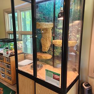 Croydon Creek Nature Center (MD) - Corn Snake exhibit