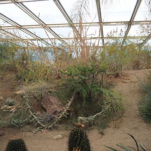 Desert landscape, 2023-10-07