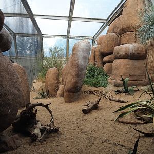 Burrowing owl and Greater roadrunner aviary, 2023-10-07