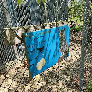 Carrie Murray Nature Center (MD) - Great Horned Owl painted signage