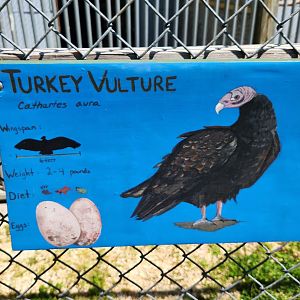 Carrie Murray Nature Center (MD) - Turkey Vulture painted signage