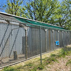 Carrie Murray Nature Center (MD) - Birds of prey exhibits