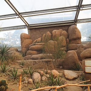 Burrowing owl and Greater roadrunner aviary, 2023-10-07
