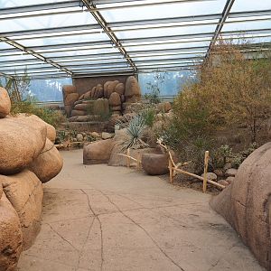 Desert - Walkway and landscaping with Burrowing owl and Greater roadrunner aviary in the background, 2023-10-07