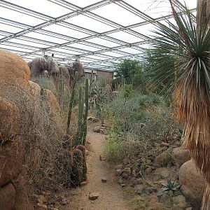 Desert landscape, 2023-10-07