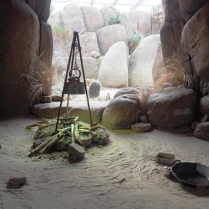 Red diamondback rattlesnake and Gila monster terrarium, 2023-10-07
