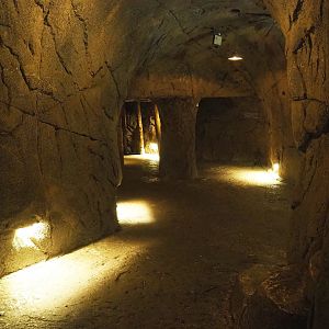 Tunnel between Desert and Bush, 2023-10-07