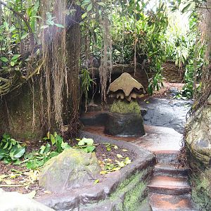 Aardvark exhibit, 2023-10-07