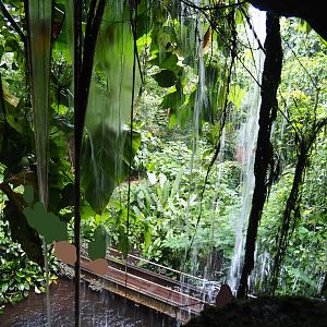 View from behind the large watefall in the Bush, 2023-10-07