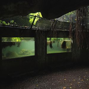 South American fish pool in the separated zone of the Bush (Currently no caiman), 2023-10-07