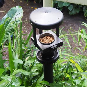 Small insectivorous bird feeder, 2023-10-07
