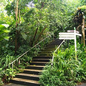 Stairs to elevated observation deck, 2023-10-07