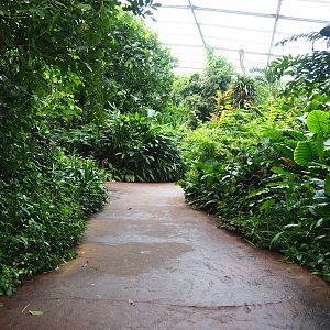 View in the Bush, 2023-10-07