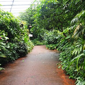 View in the Bush, 2023-10-07