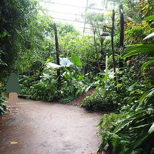 View in the Bush, 2023-10-07