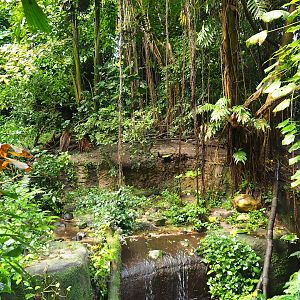 Asian small-clawed otter exhibit, 2023-10-07