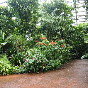 View in the Bush, 2023-10-07