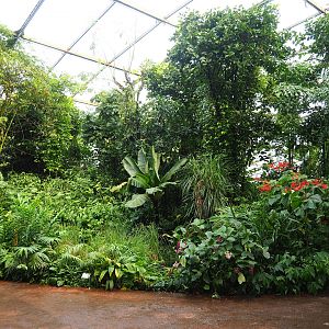 View in the Bush, 2023-10-07