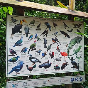 Free-ranging species in the Bush signage, 2023-10-07