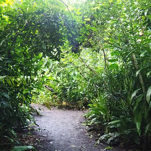 Burgers' Bush - Adventure route, 2023-10-07