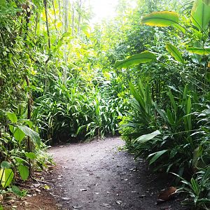 Burgers' Bush - Adventure route, 2023-10-07