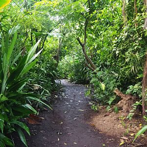 Burgers' Bush - Adventure route, 2023-10-07