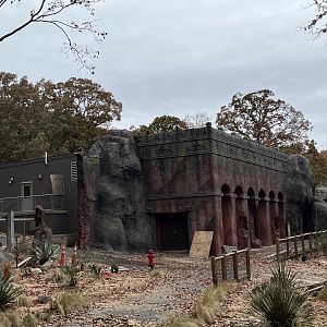 Baboon Holding/Indoor Viewing