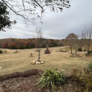 Watani Grasslands in Autumn