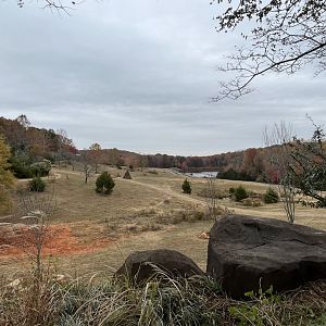 Watani Grasslands in Autumn