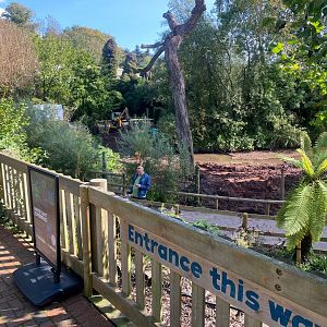 Building work near entrance 290923